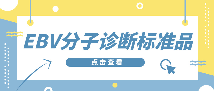 EBV分子诊断标准品