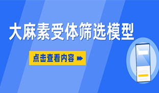 大麻素受体筛选模型