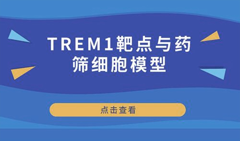 先驱还是先烈-TREM1靶点与药筛细胞模型