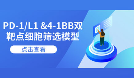 PD-1/L1 &4-1BB双靶点细胞筛选模型