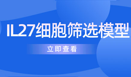 IL27细胞筛选模型