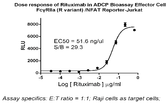 ADCP Bioassay Effector Cell FcγRIIa (R variant) -NFAT/Jurkat_药靶模型_南京科佰 ...
