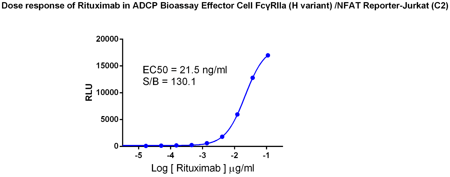 ADCP Bioassay Effector Cell FcγRIIa (H variant)-NFAT/Jurkat_药靶模型_南京科佰生物 ...