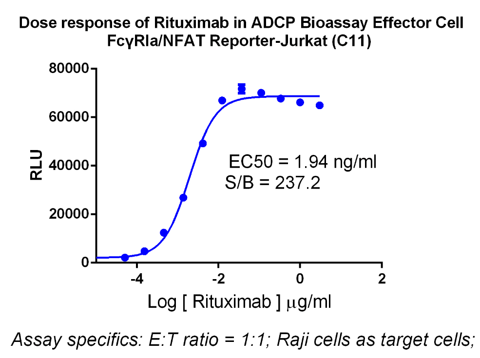 ADCP Bioassay Effector Cell FcγRIa-NFAT/Jurkat_药靶模型_南京科佰生物科技有限公司