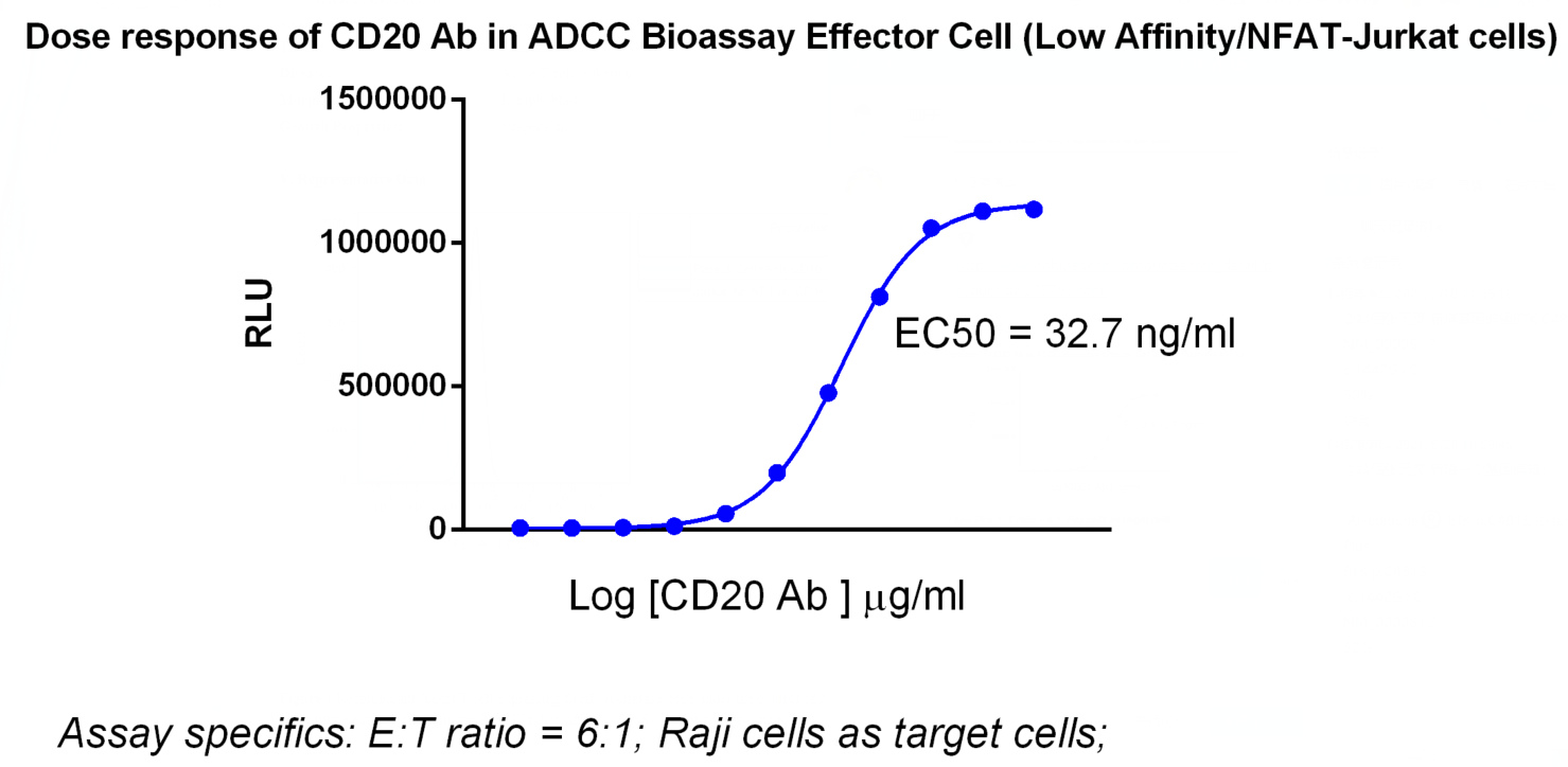 ADCC Bioassay Effector Cell F variant (Low Affinity)- Fcγ-NFAT/Jurkat_药 ...