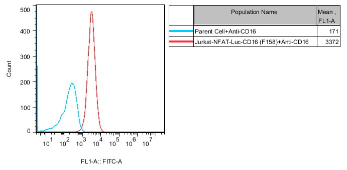 ADCC Bioassay Effector Cell F variant (Low Affinity)- Fcγ-NFAT/Jurkat_药 ...