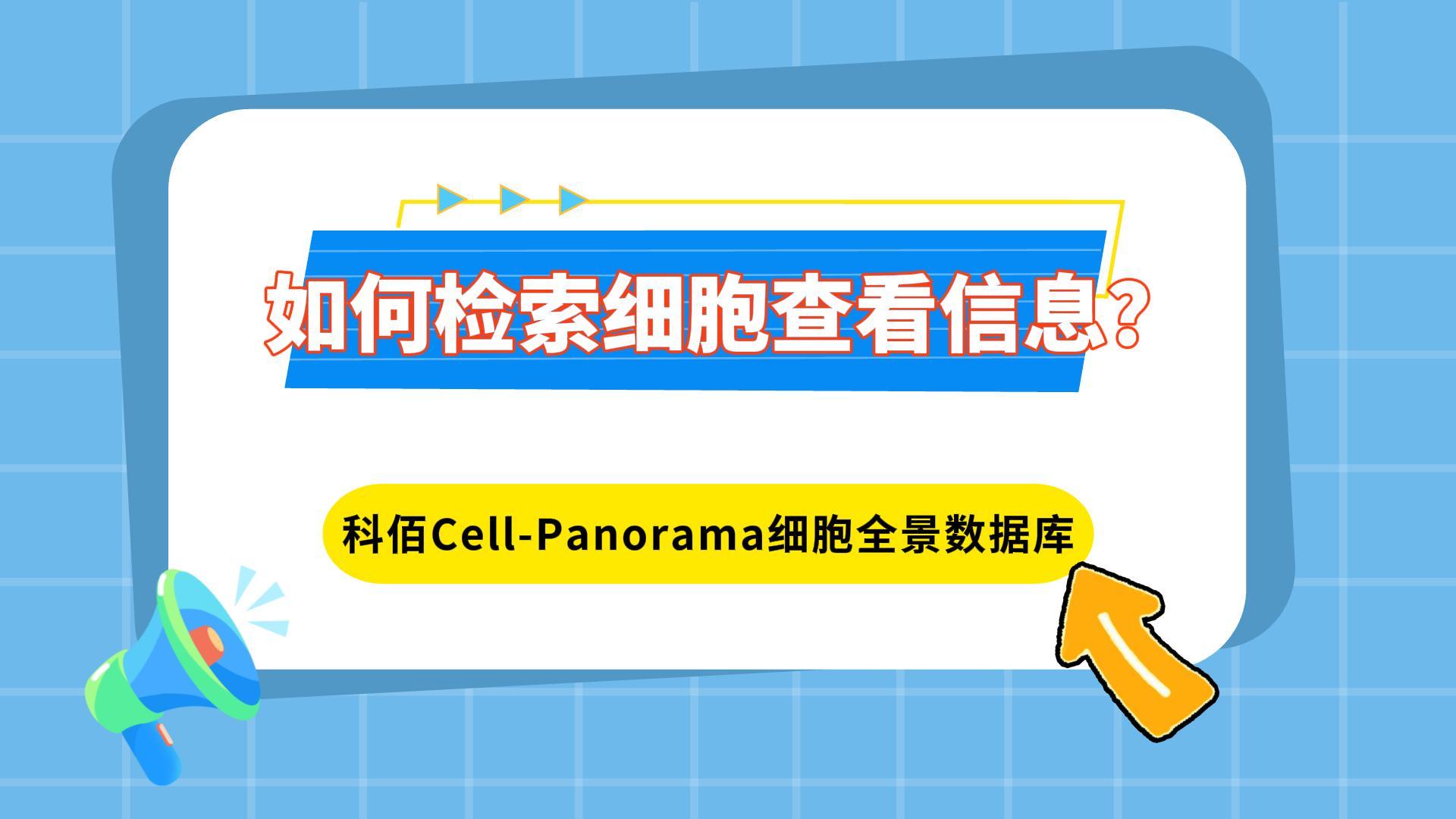 如何检索细胞查看信息